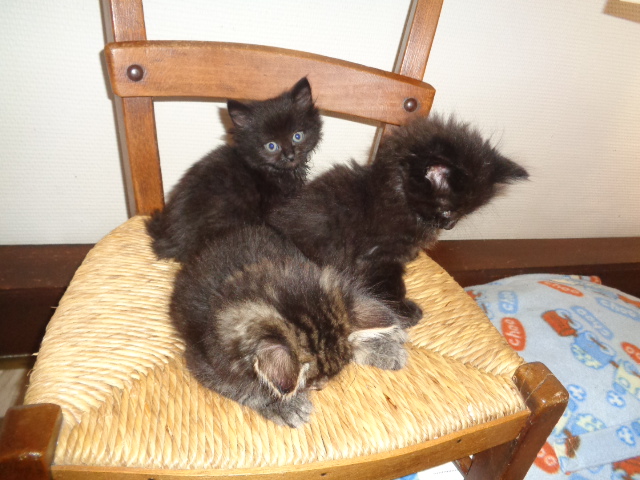 Les ptits bouts...