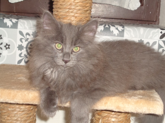 Trop beau!