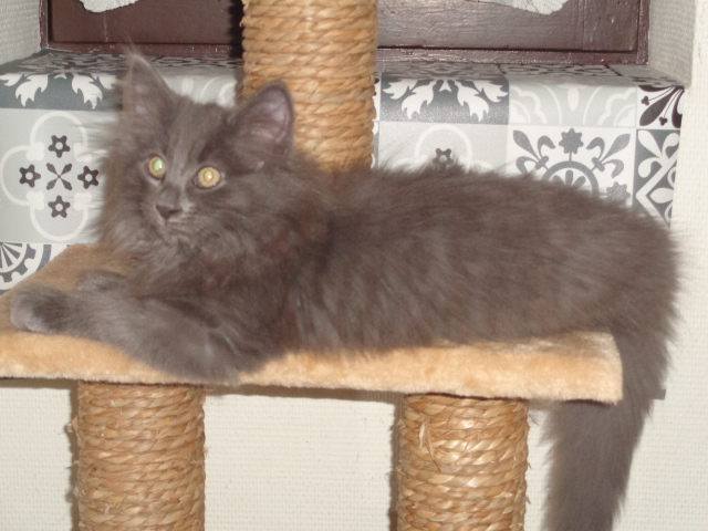 Trop craquant!