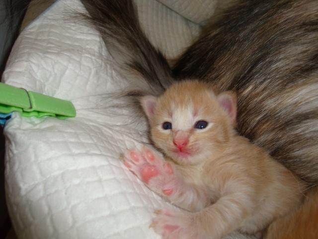 Hello! Je me nomme A...