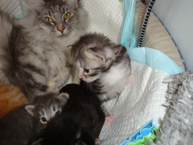 Maman! On est là!