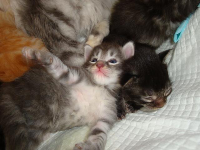 Beaux bibous...