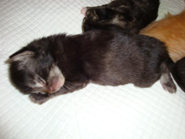 Gros dodo!
