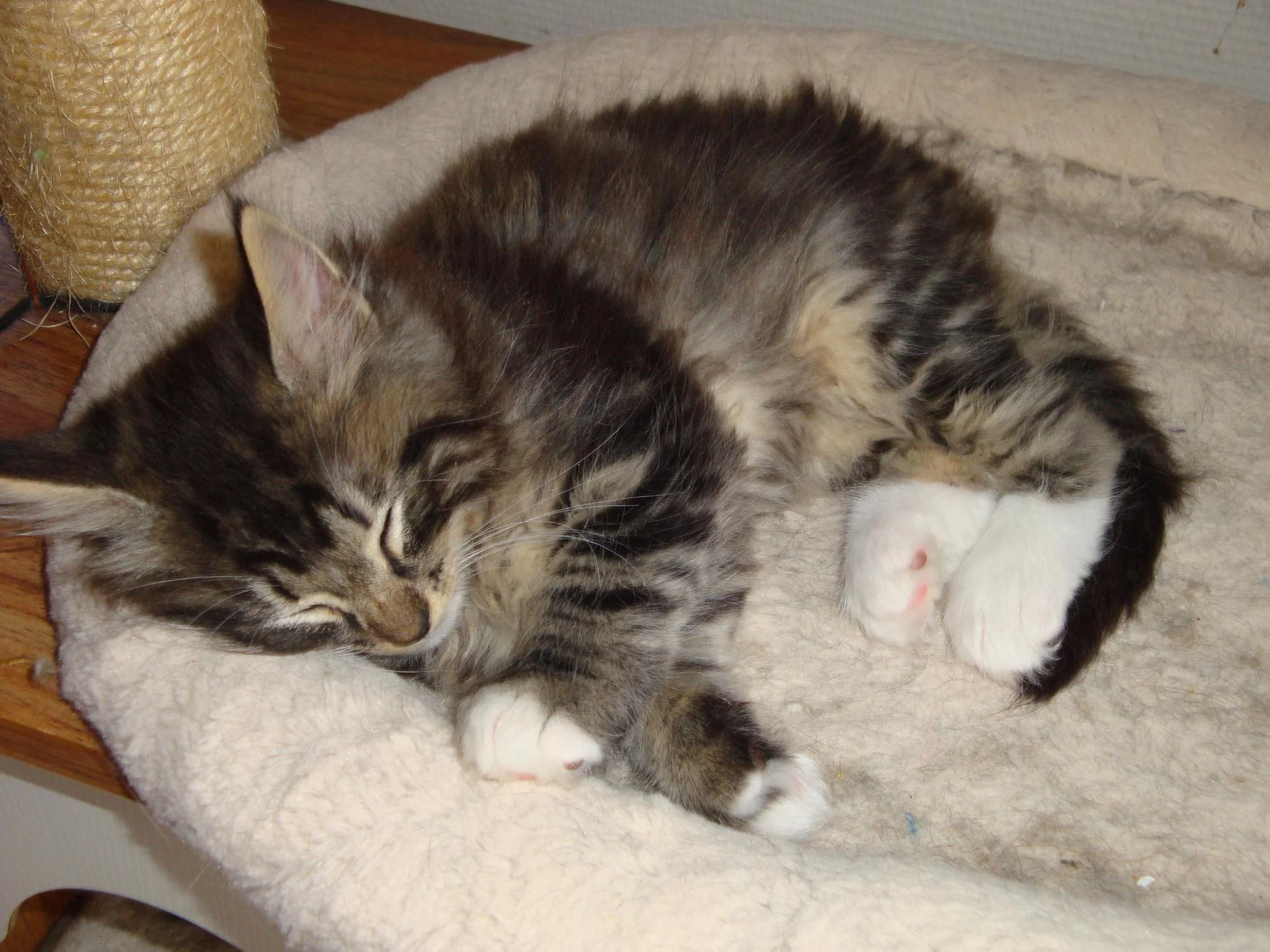 Chut! Le titou dort...