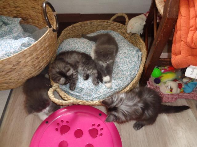 Occupés!