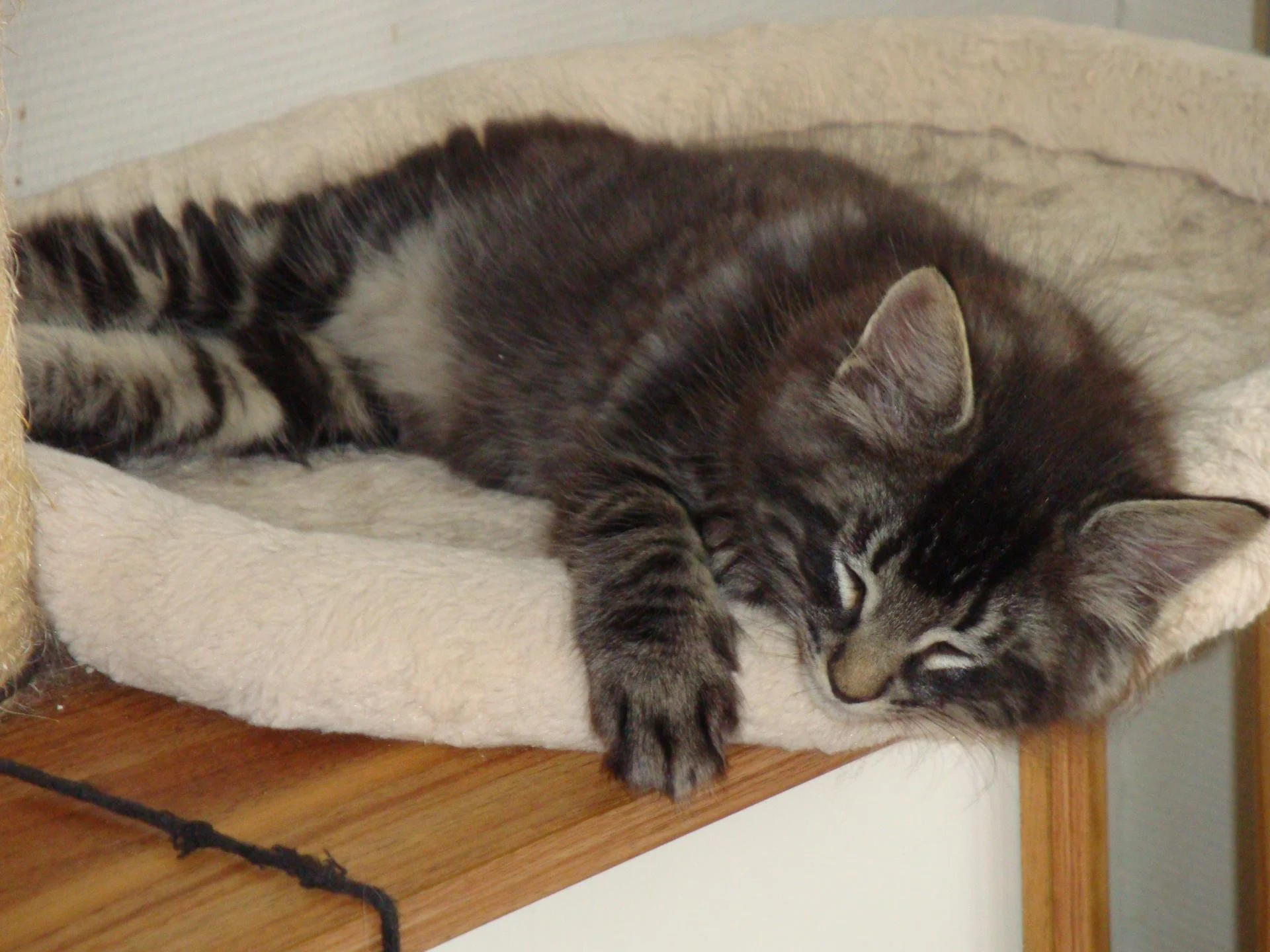 Vive la sieste!