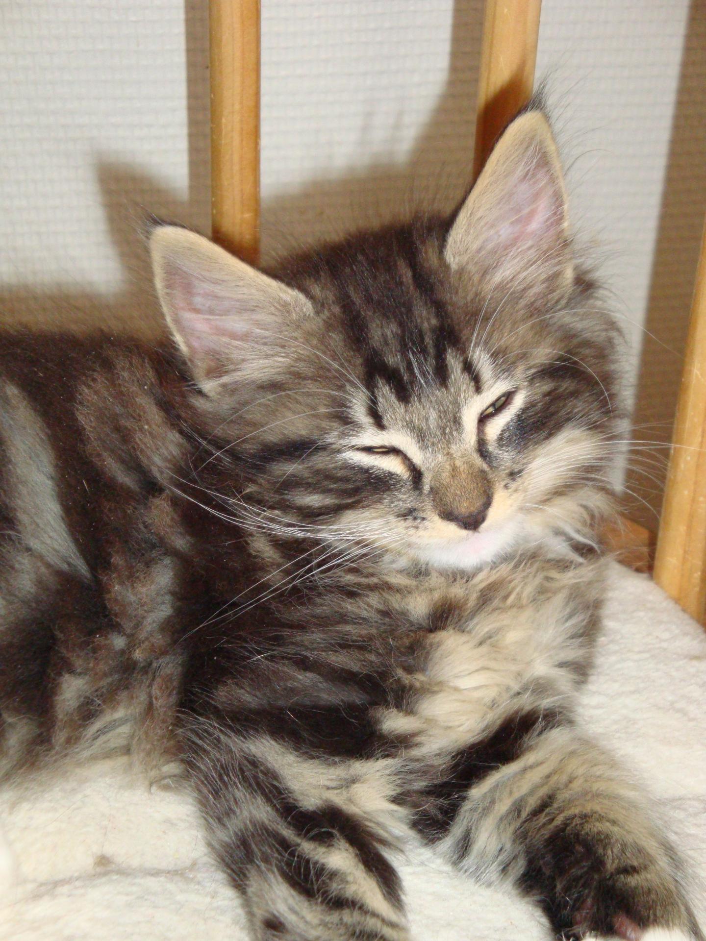 Jolie bouille!