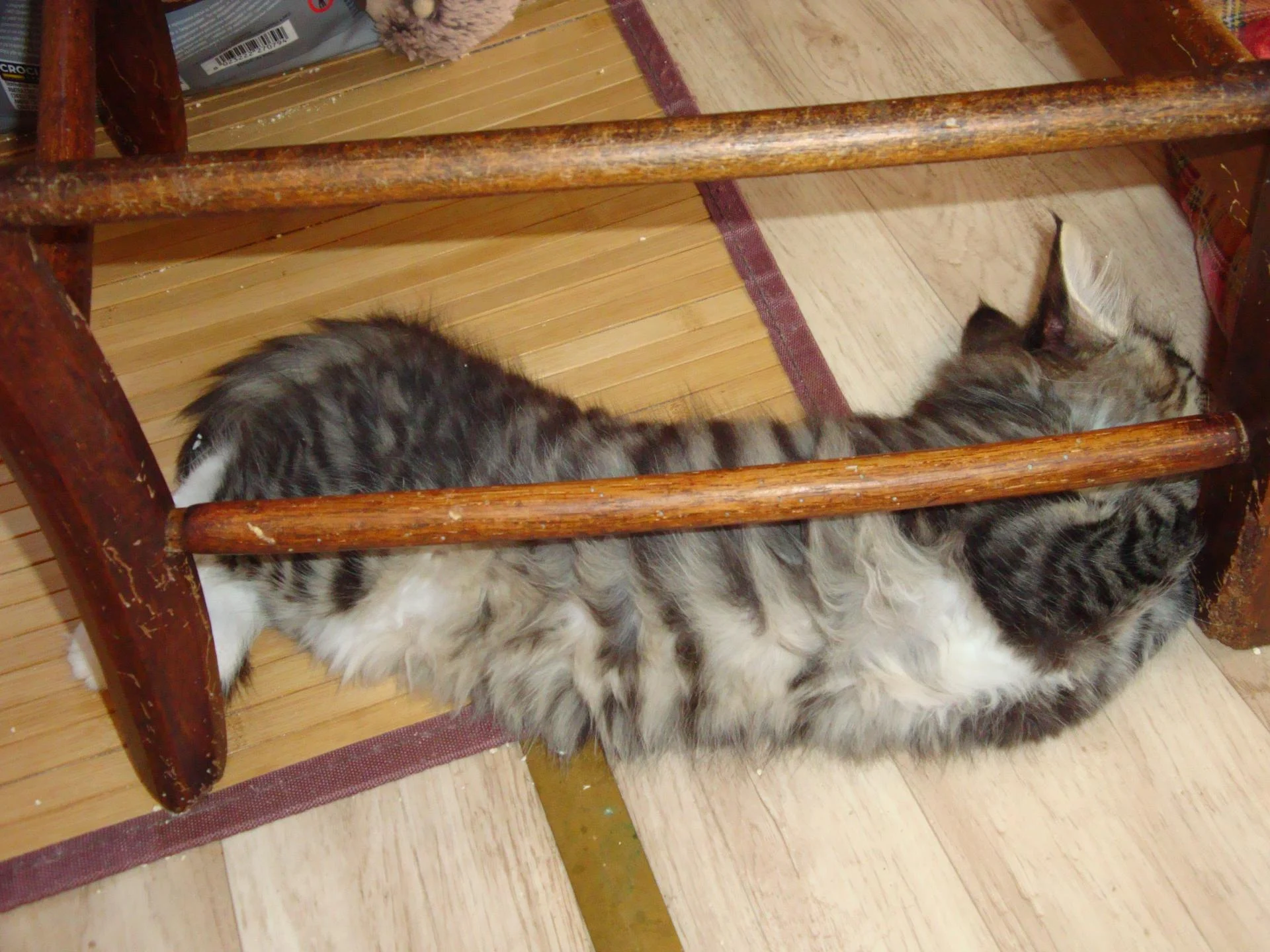 Acrobatie entre les barreaux!