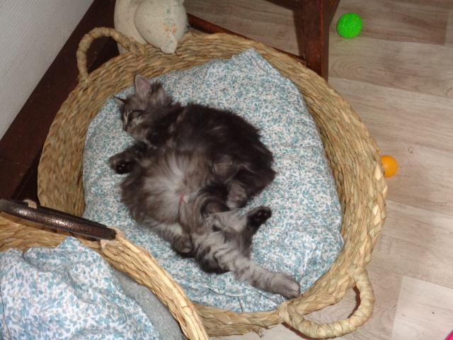 Couffin bien plein!