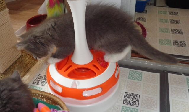 Equilibre!