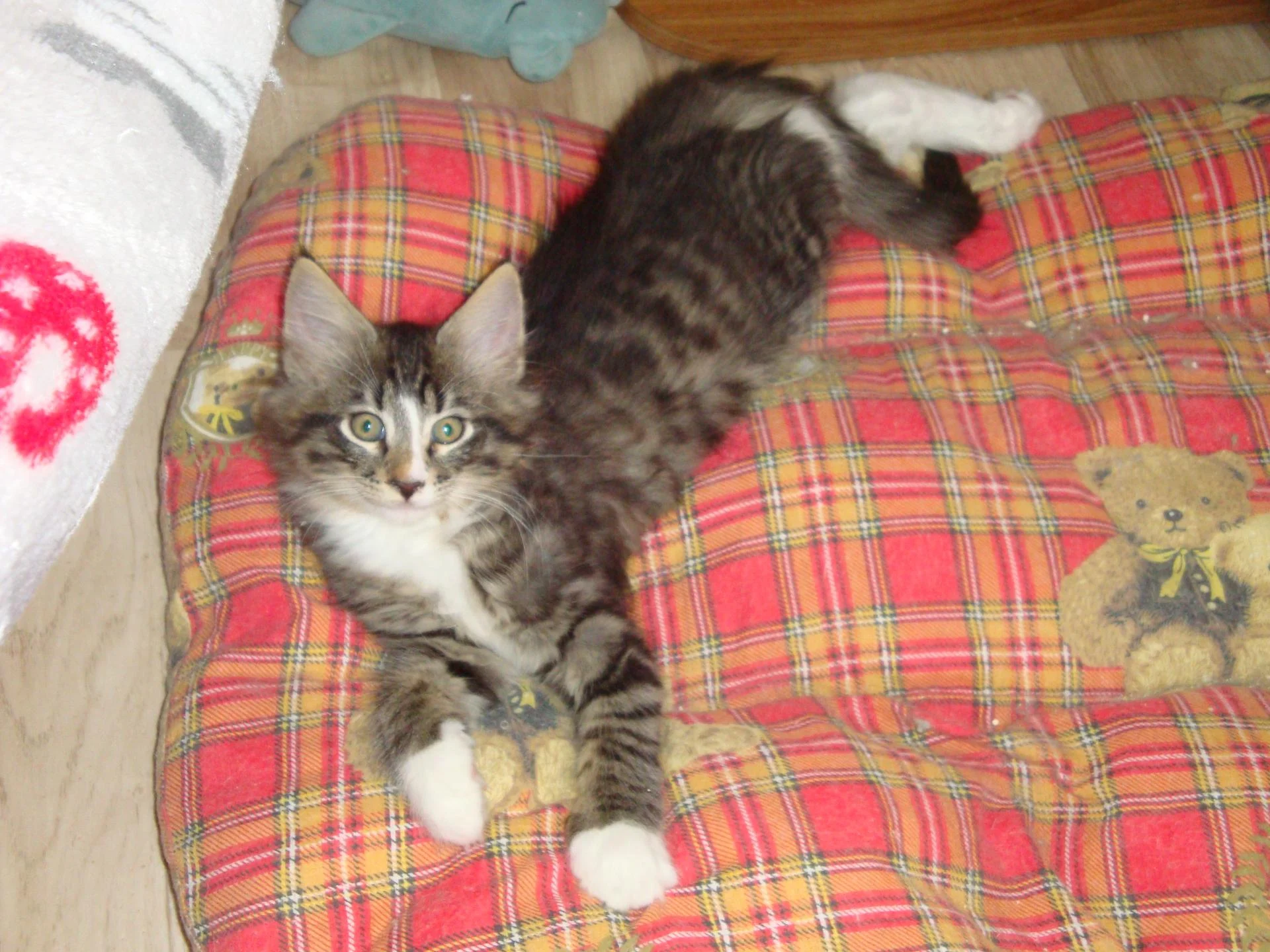 Loulou trop chou!