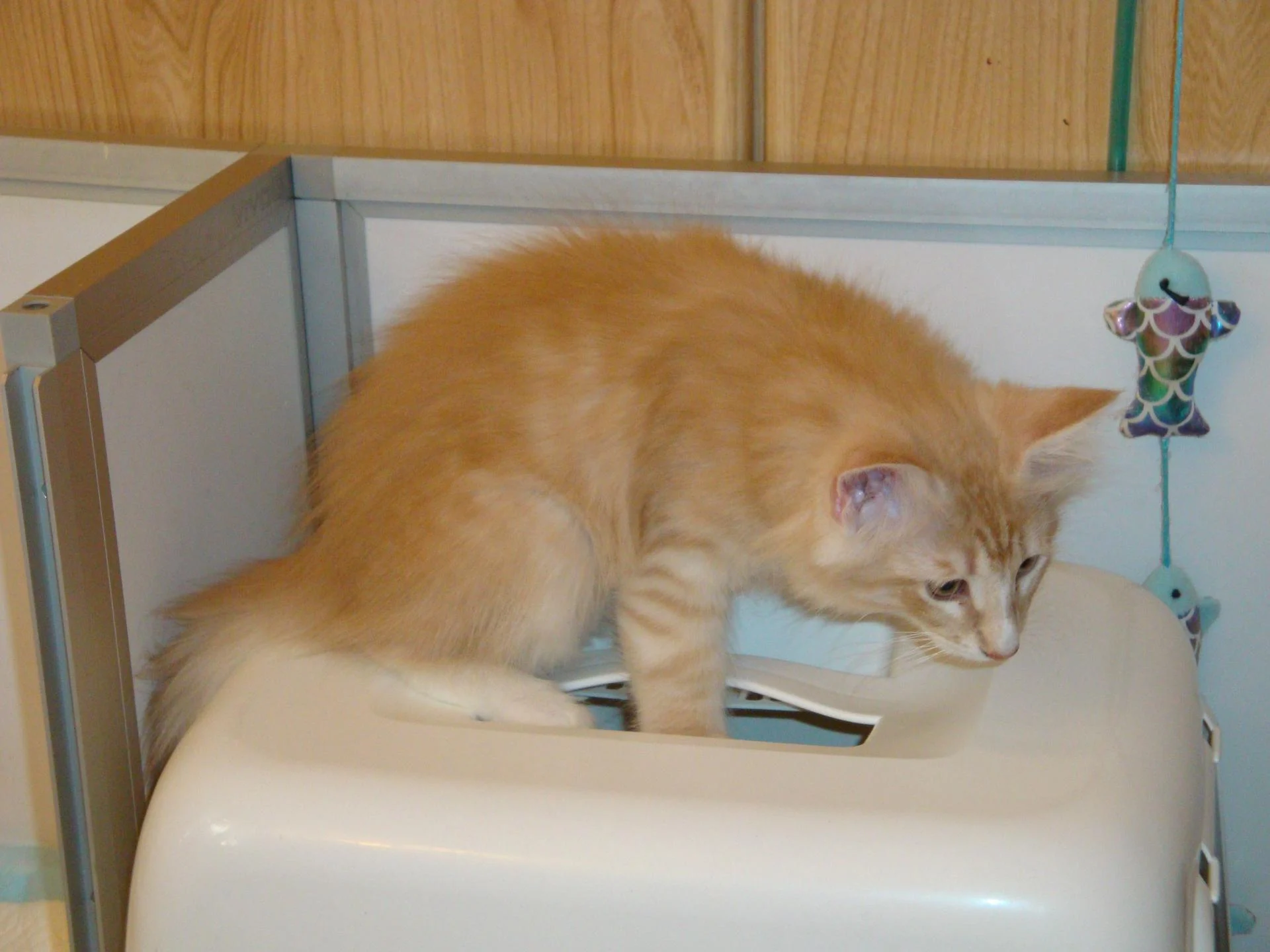Inspection...