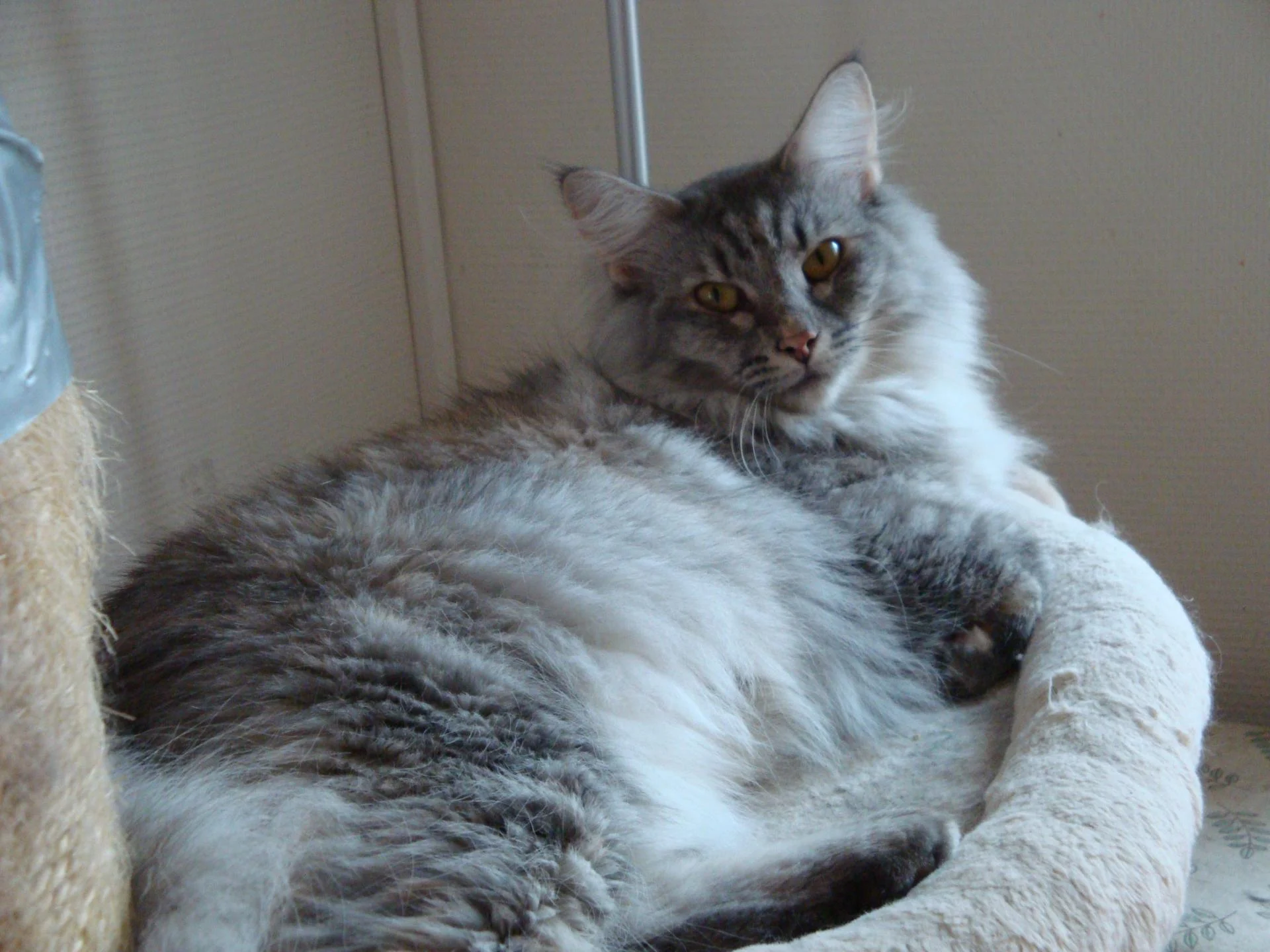 MAM' Ninette, la douce!