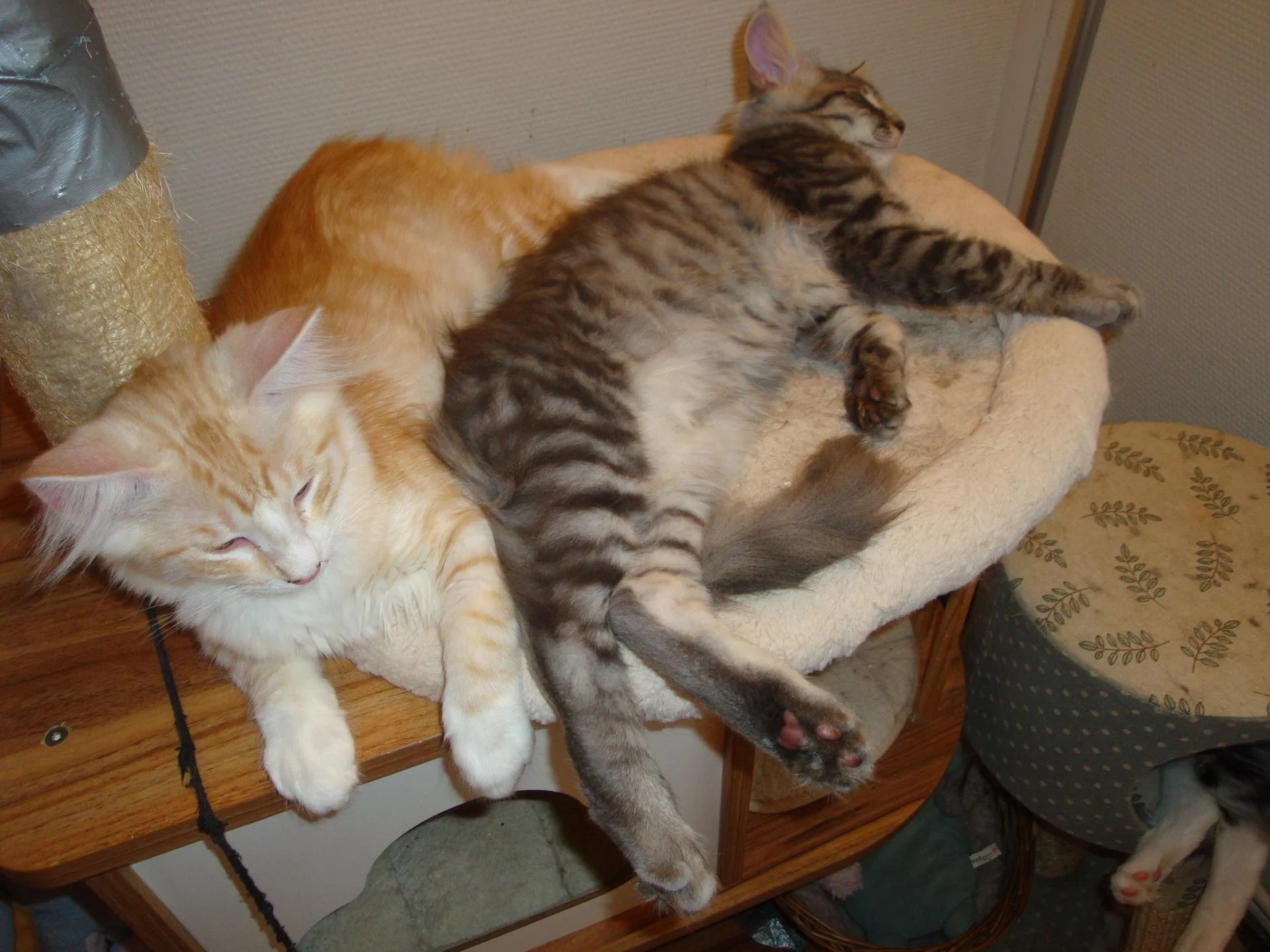 Austin (serré) et Aurson (à l'aise)!