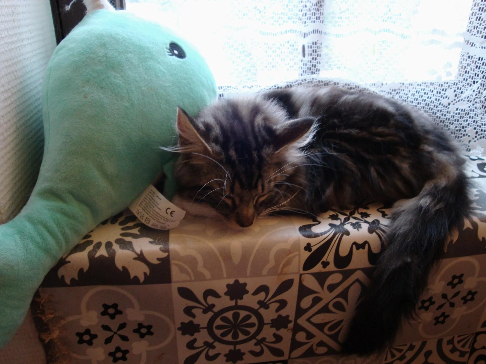 Adisson et la baleine...