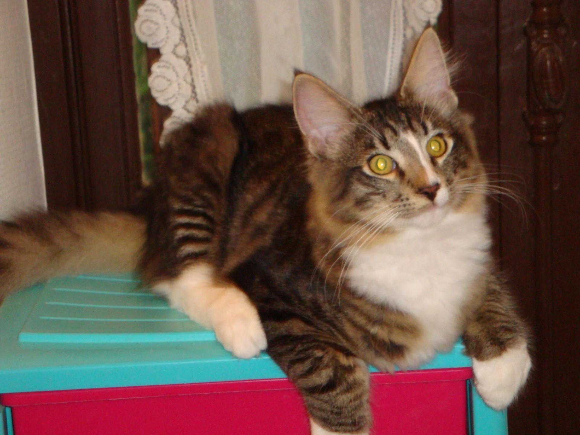 Je me pose là!