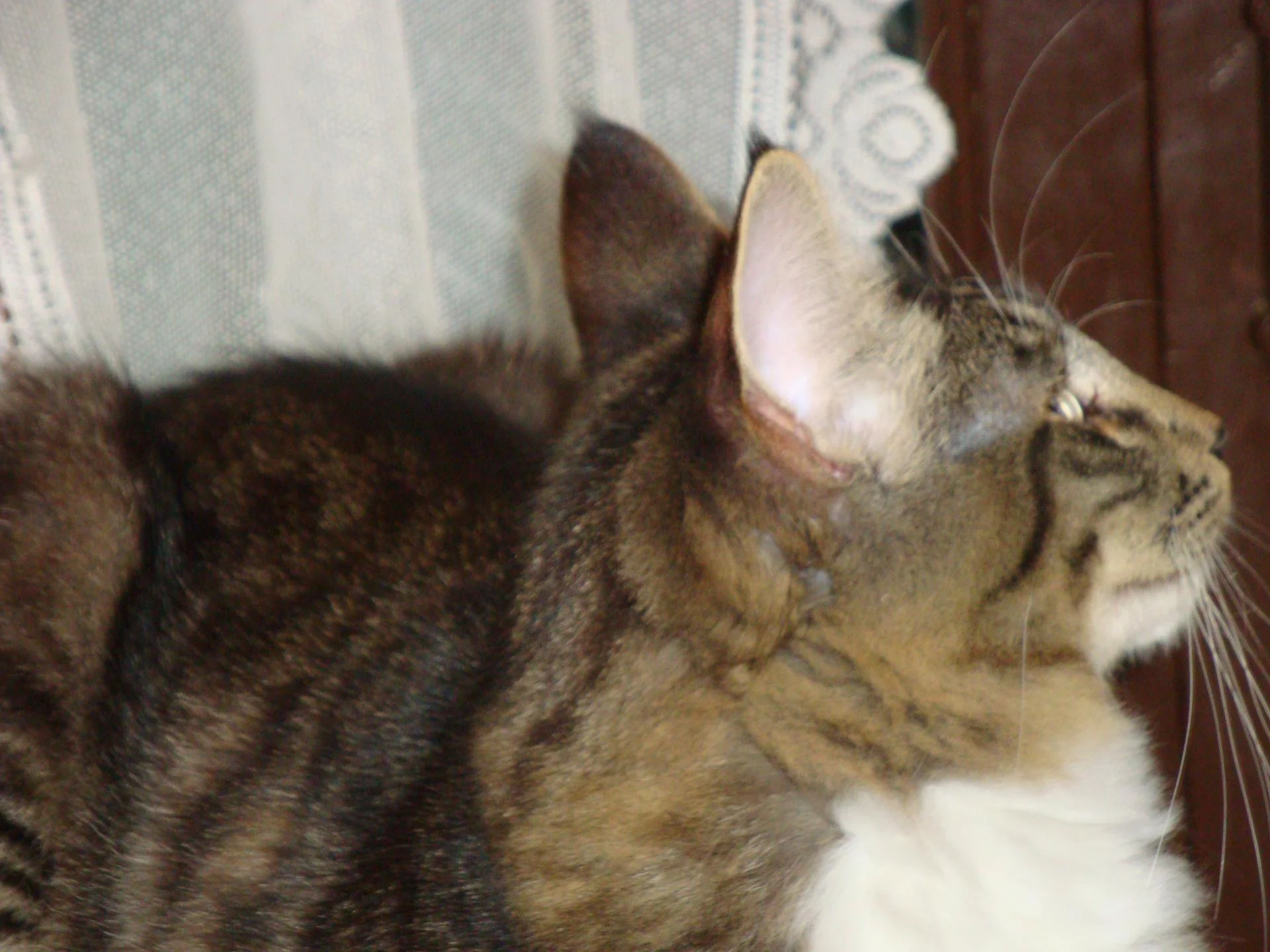 Beau profil!