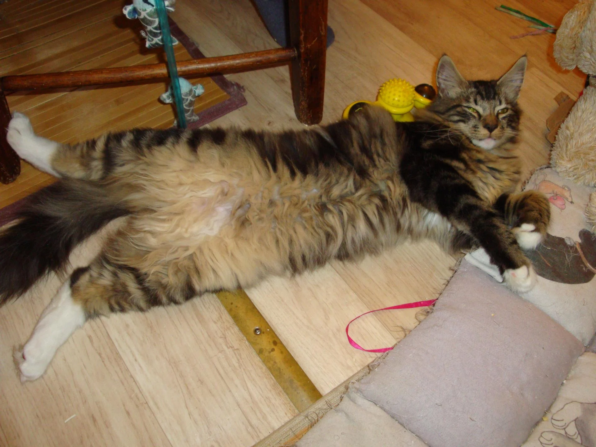 Déteeeeeeeeeeeeente!