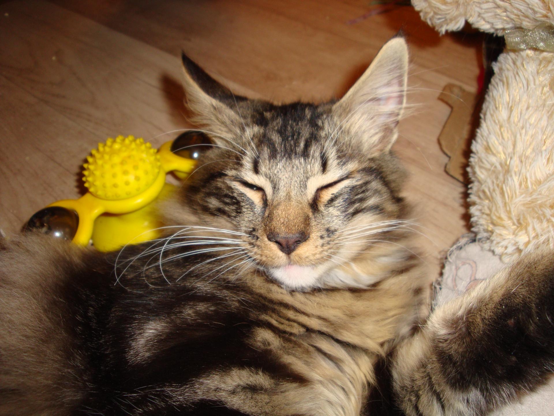 Vous me voyez? Pas moi, je m'endors...