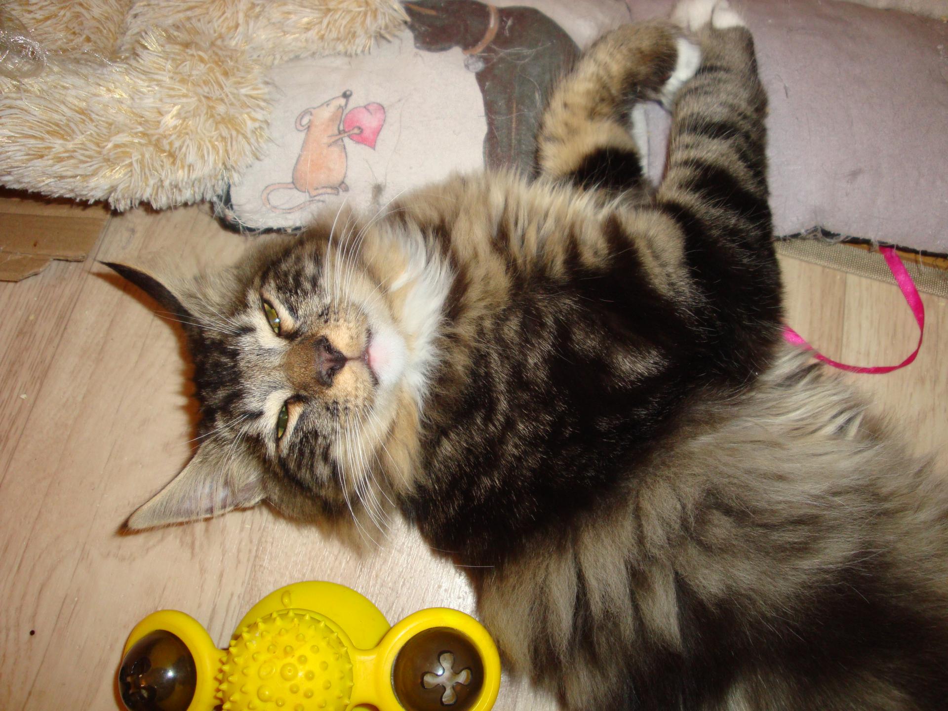 Sieste ou pas sieste???