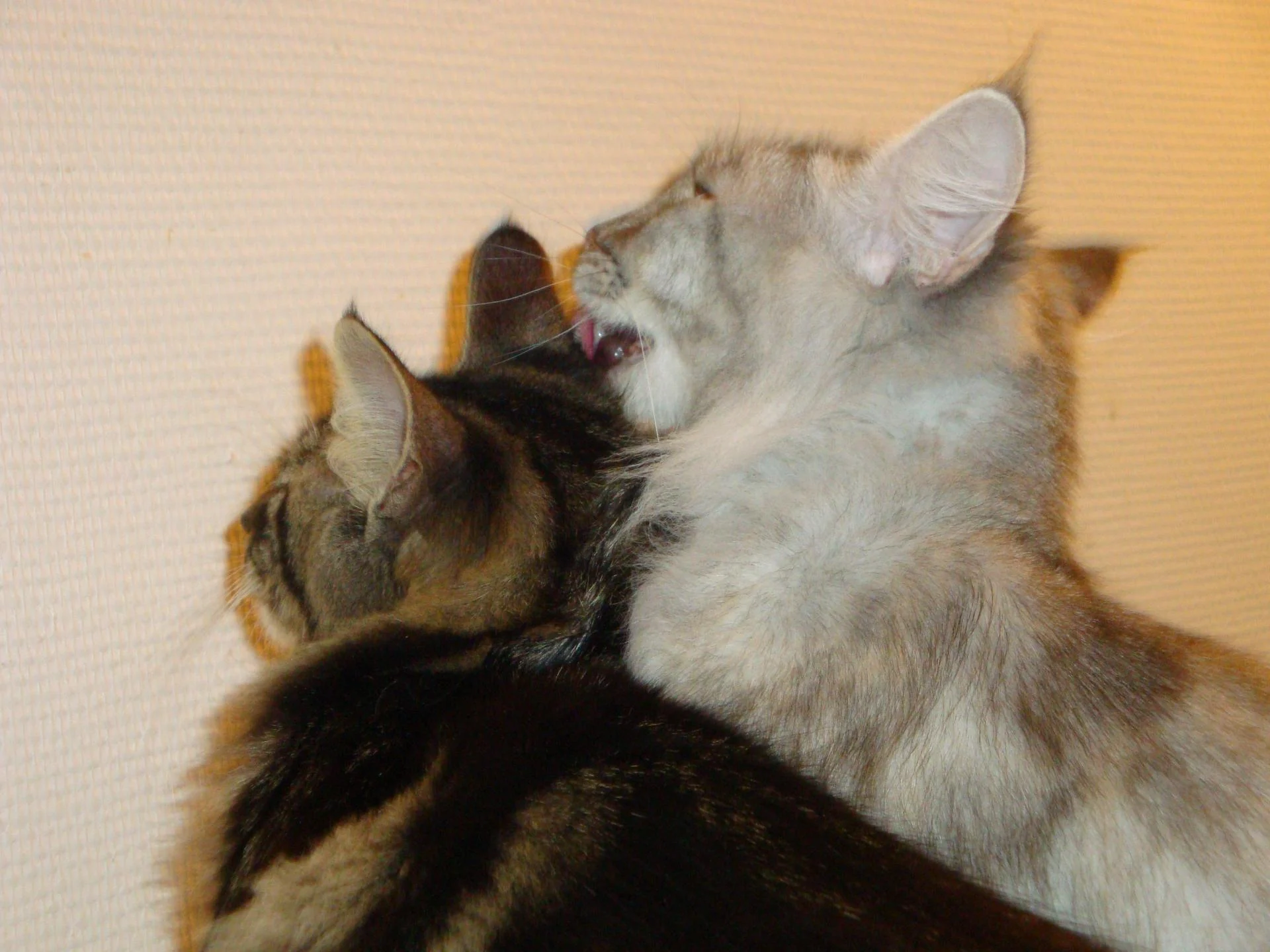 Avec maman Ninette chérie...