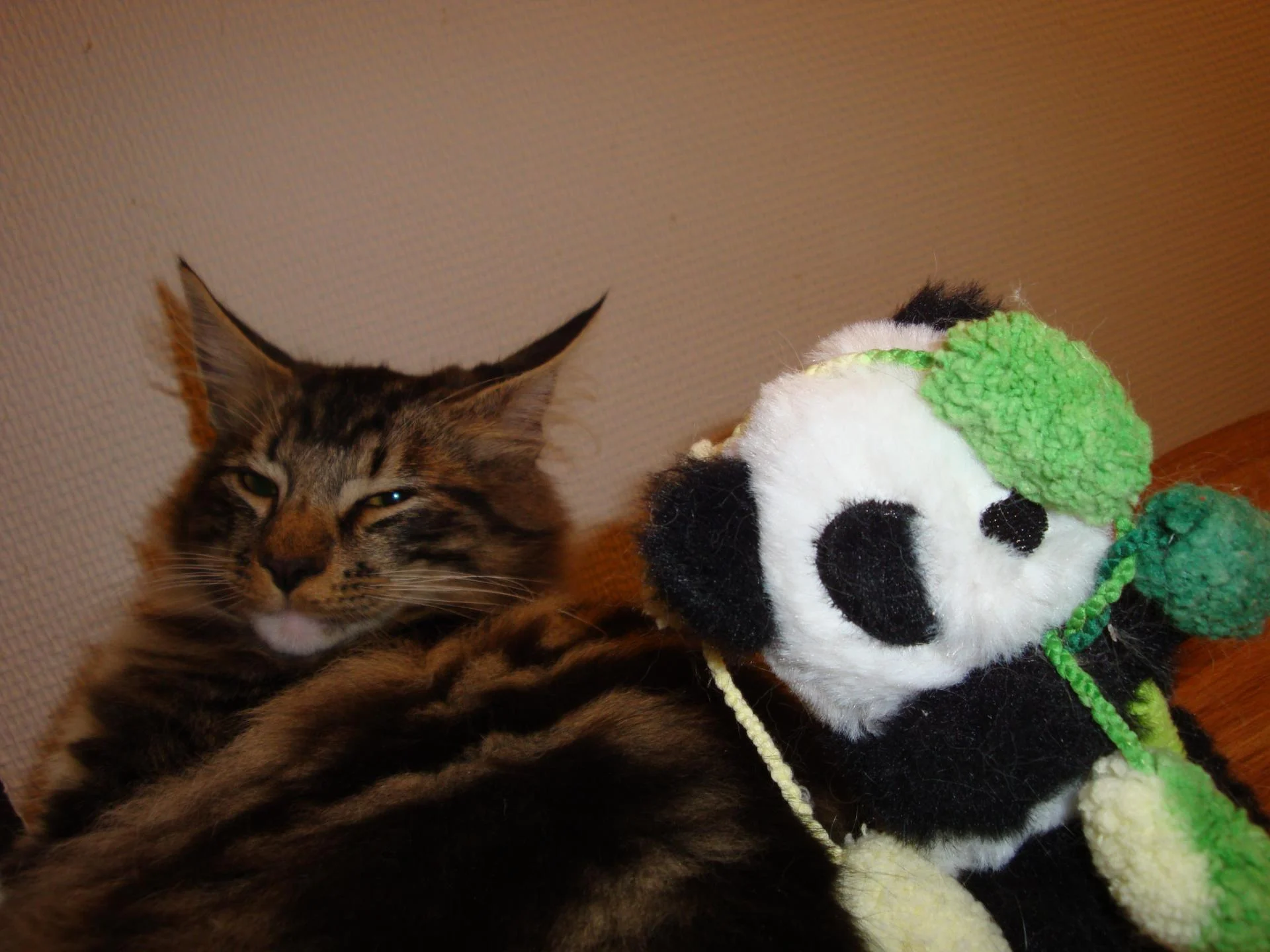 Bon d'accord pour la photo...