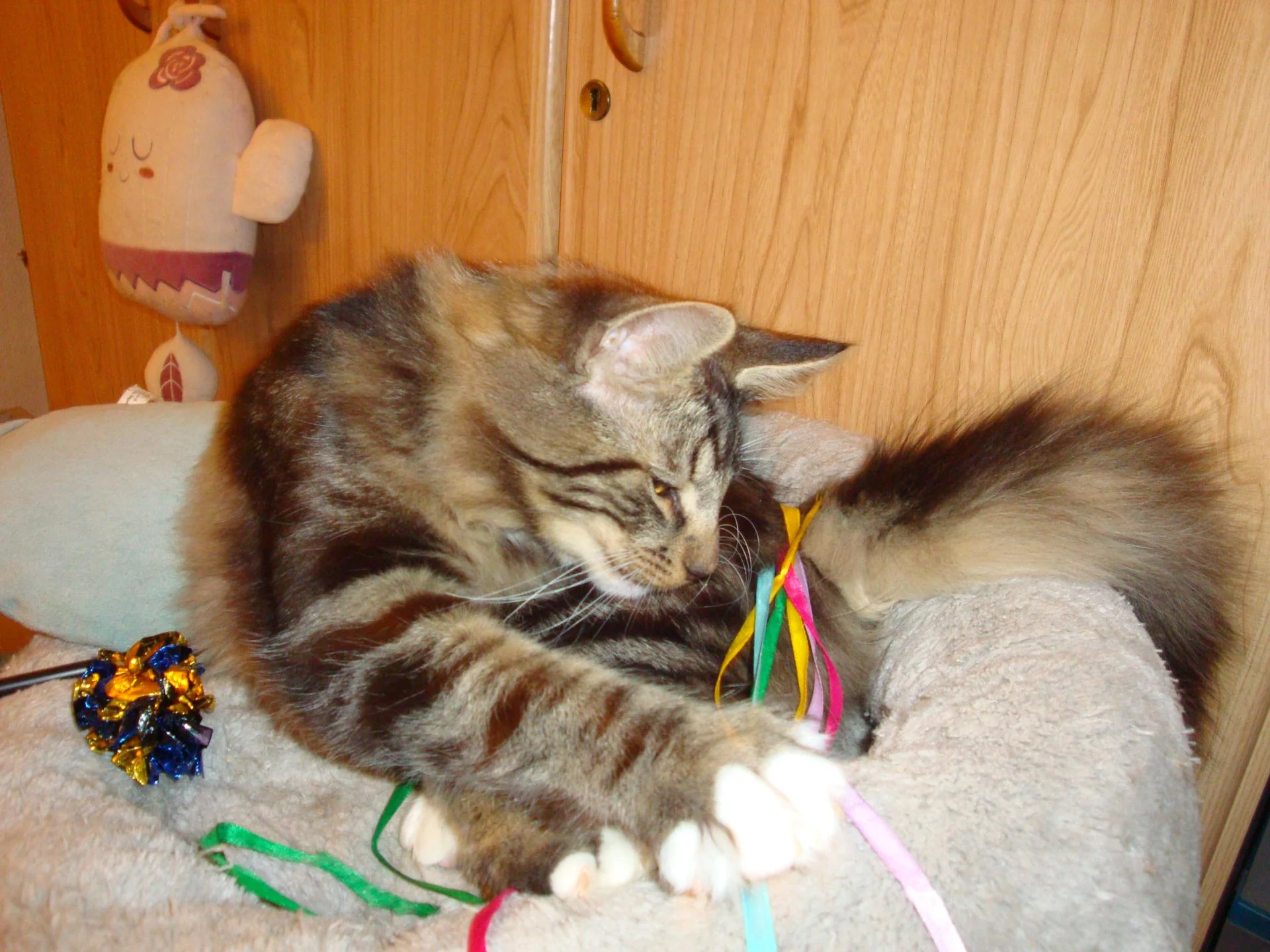 Adisson et ses trésors!