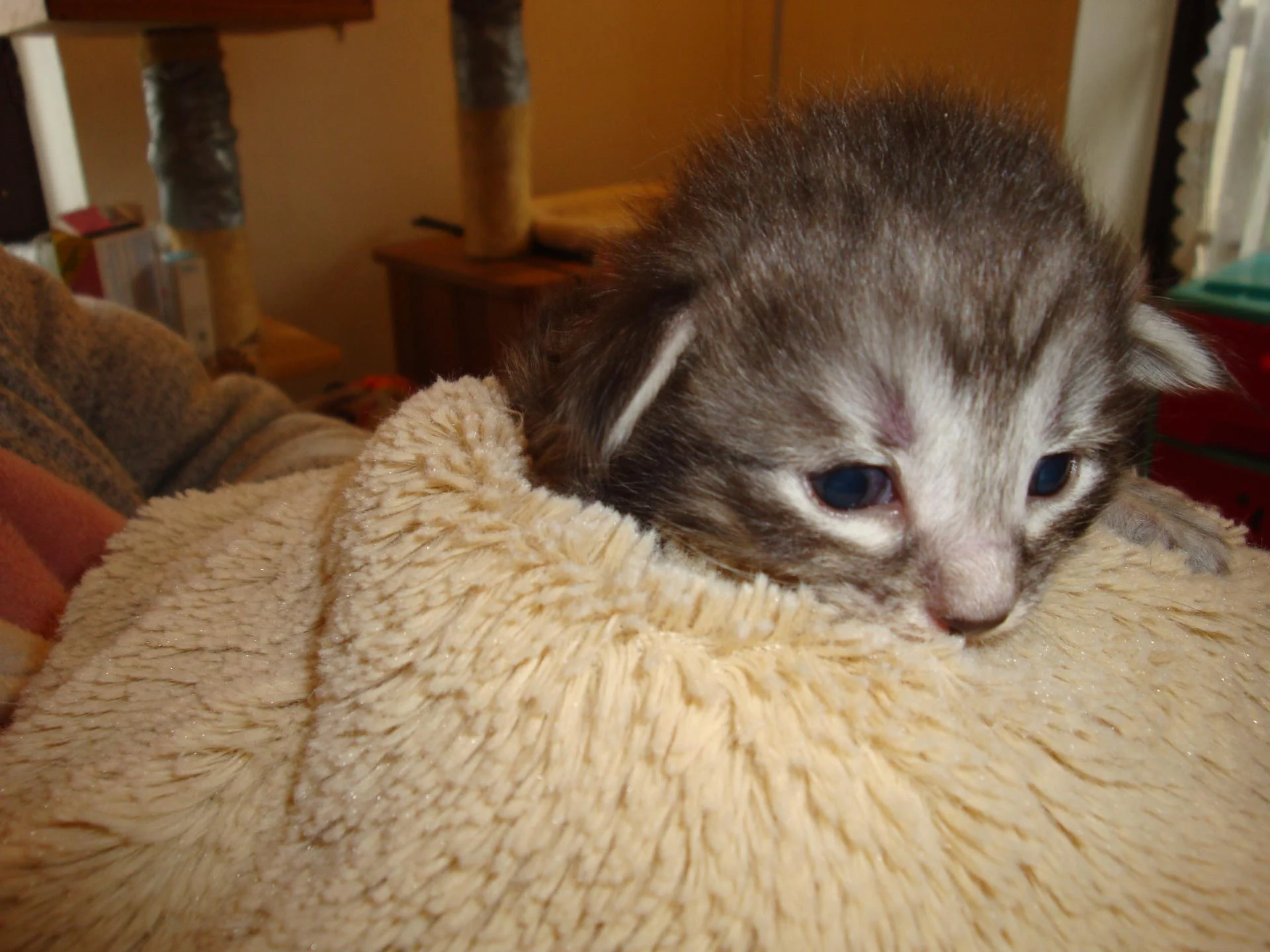 Ouf, après la pesée!