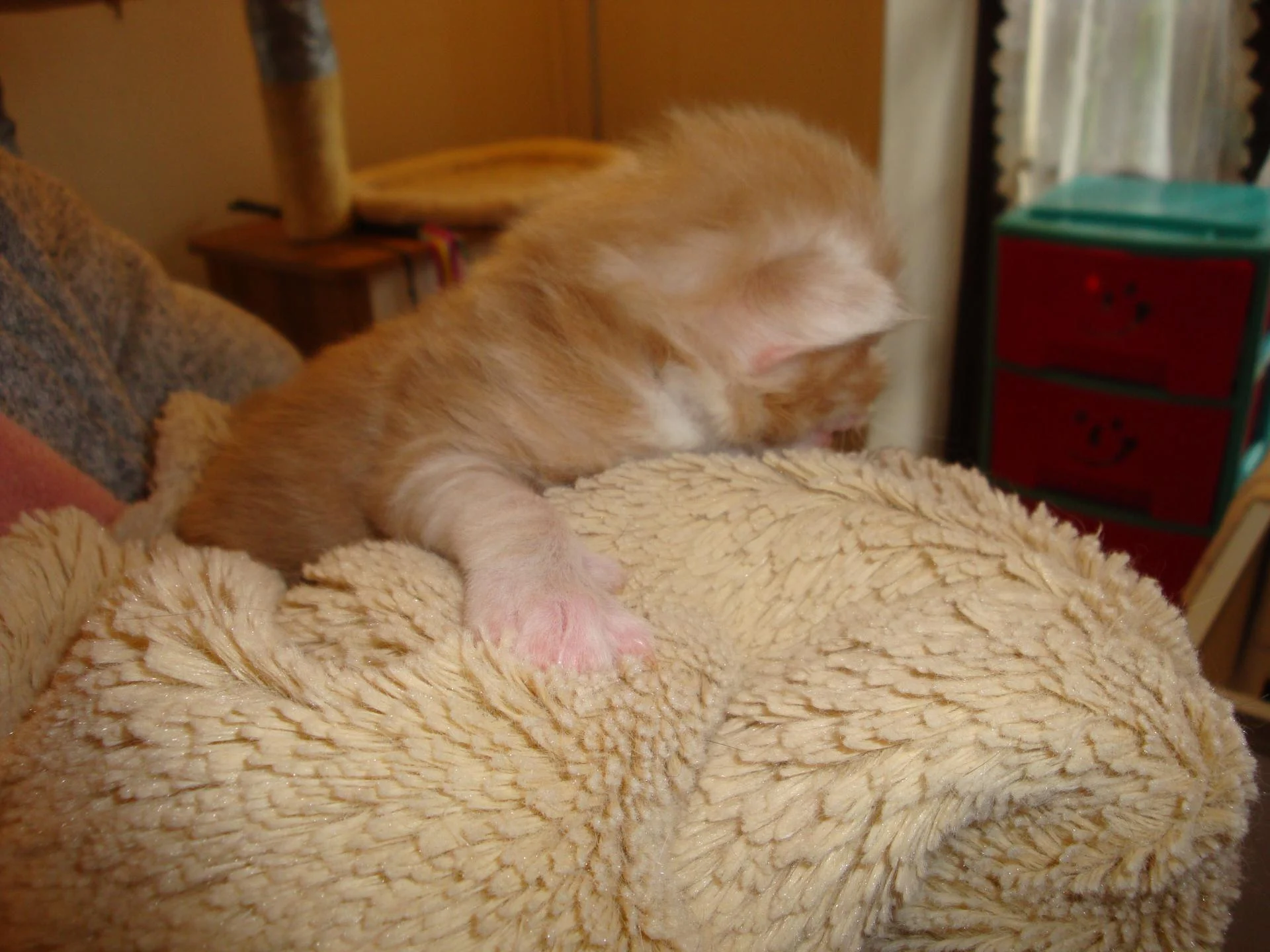 Je me cramponne... Salut!