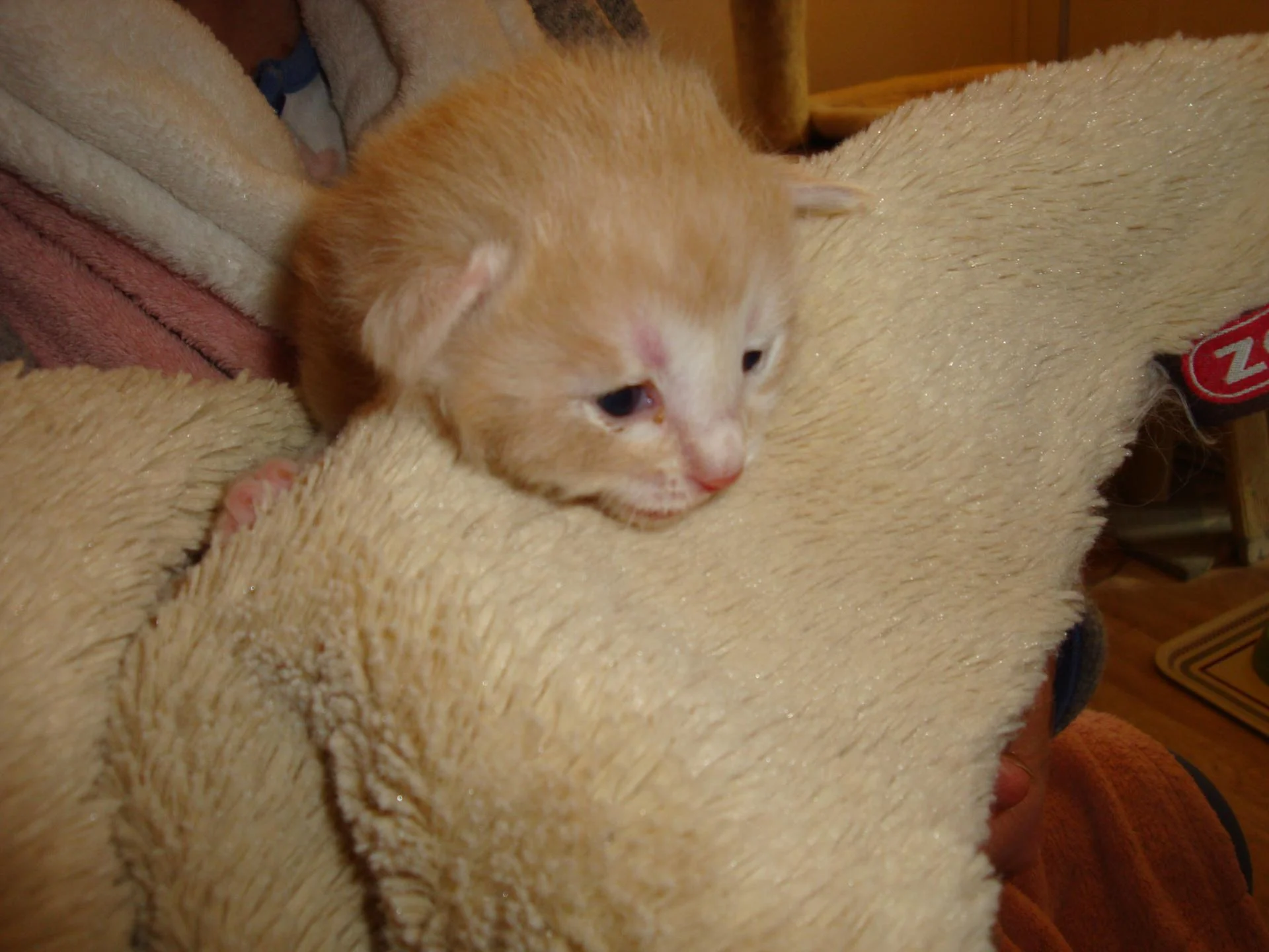 Moi, je suis le bb n° 4!