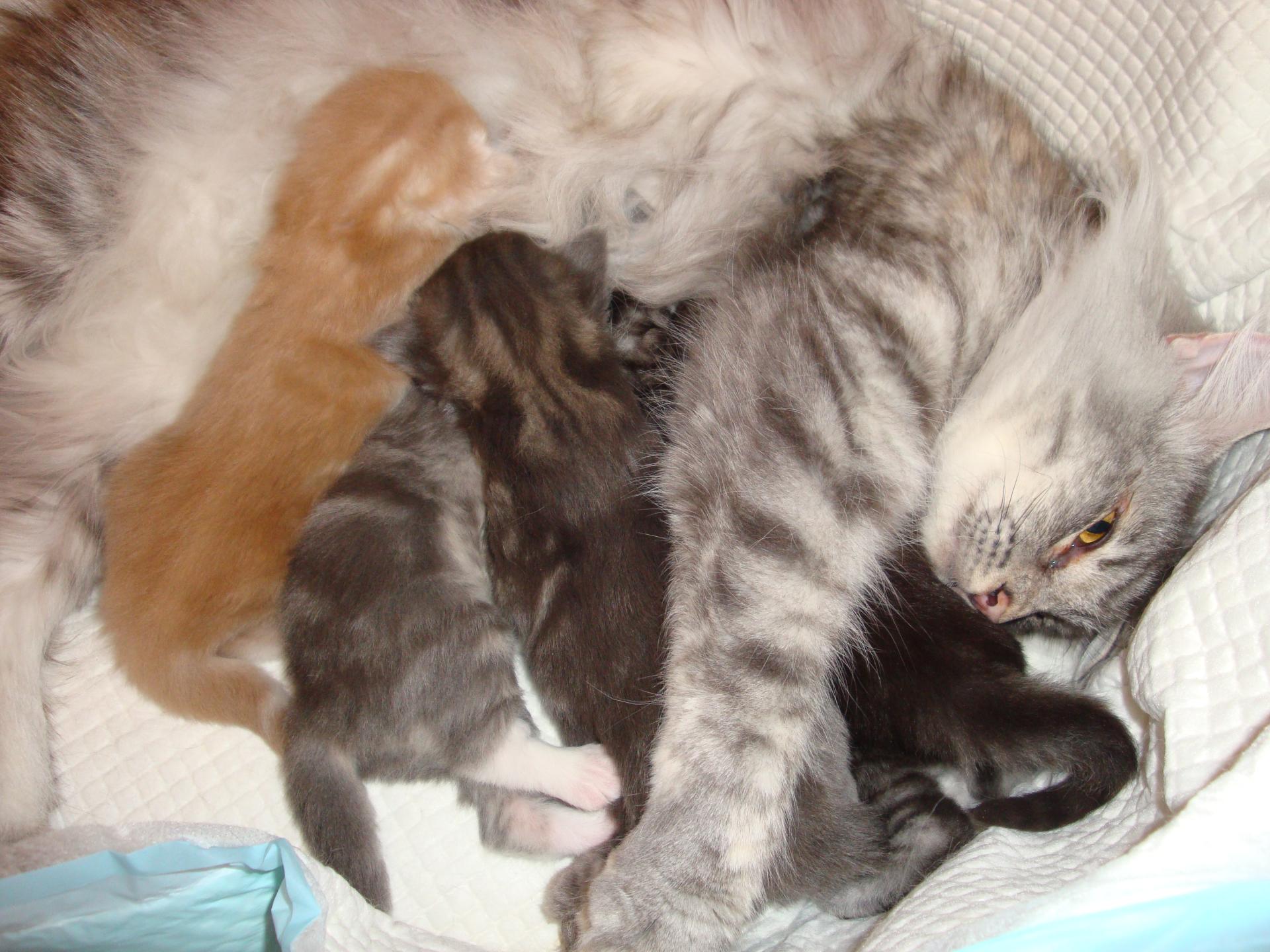 Ce sont MES bibous!!