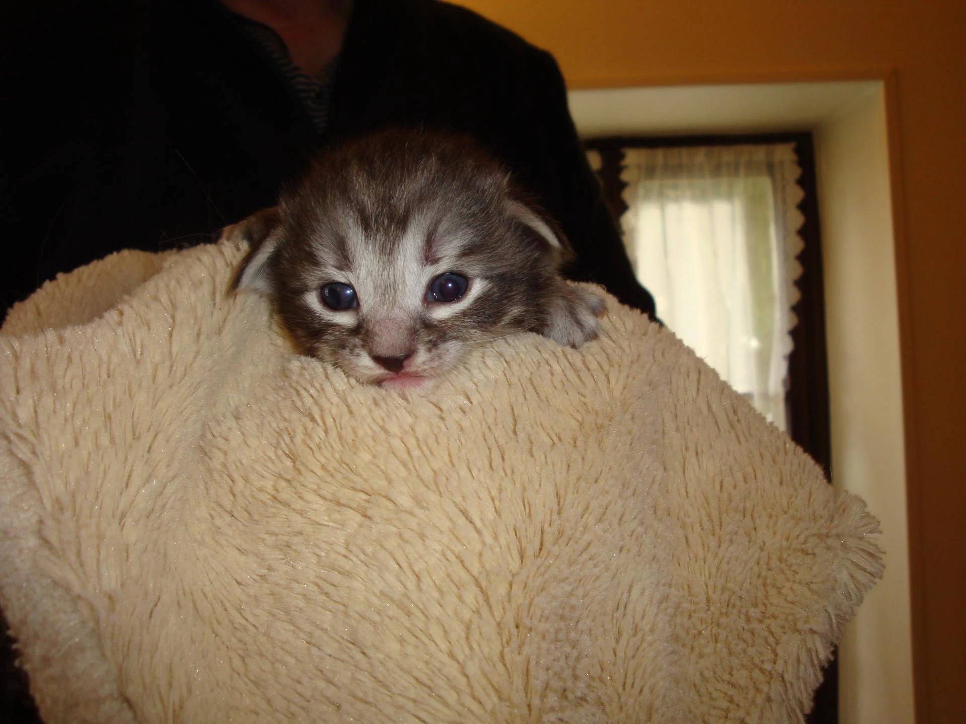 C'est moi le n° 3, hello!