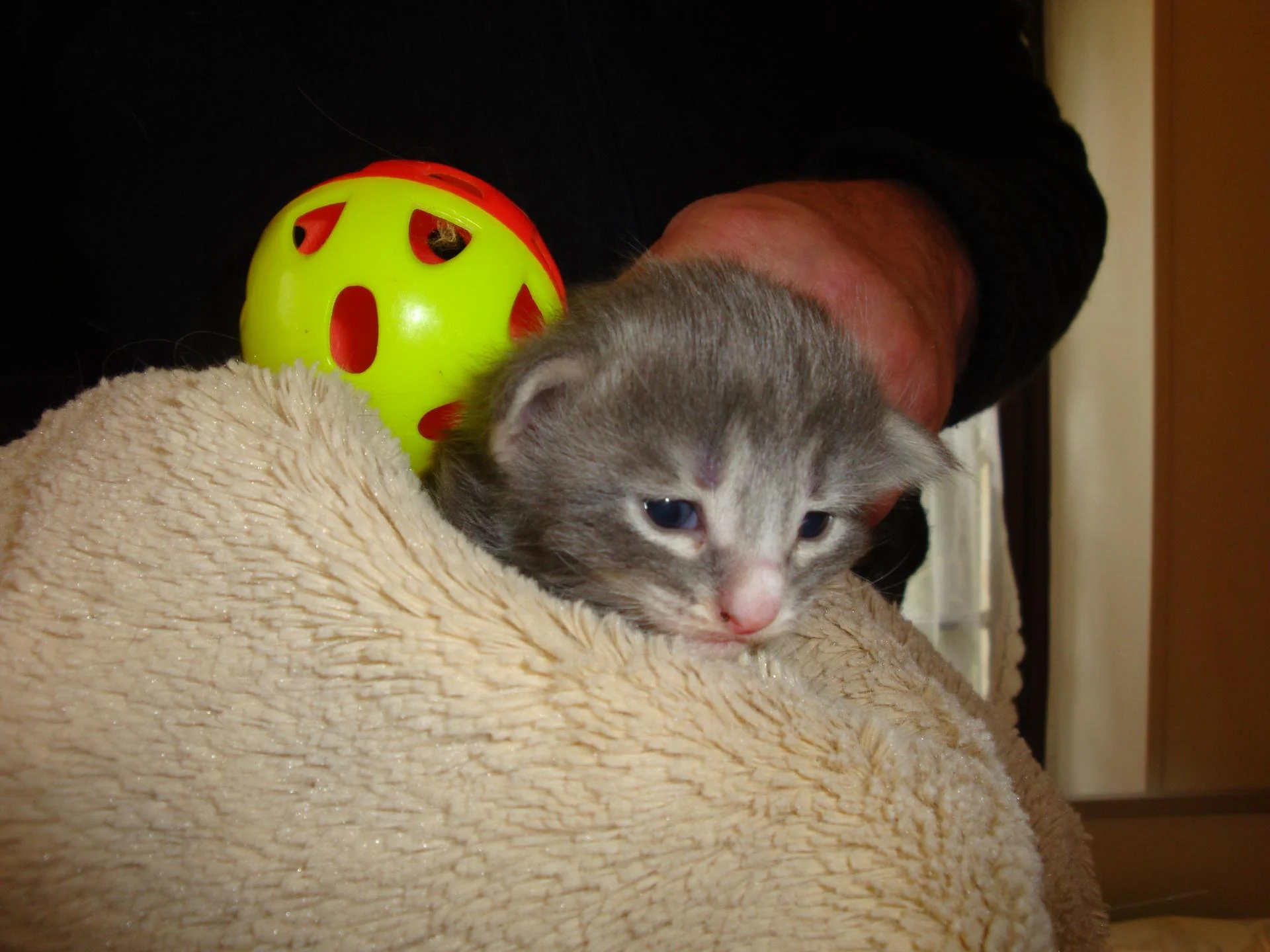 La princesse B... pour vous plaire!