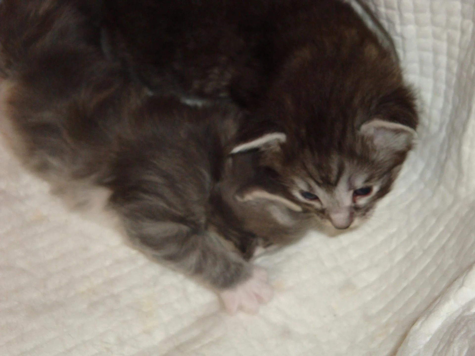 Bb n°1 (fille), au creux de la vague!