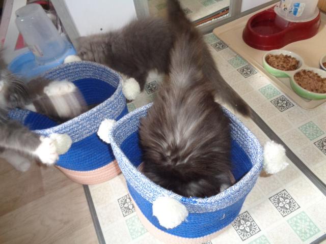 PLOUF!!