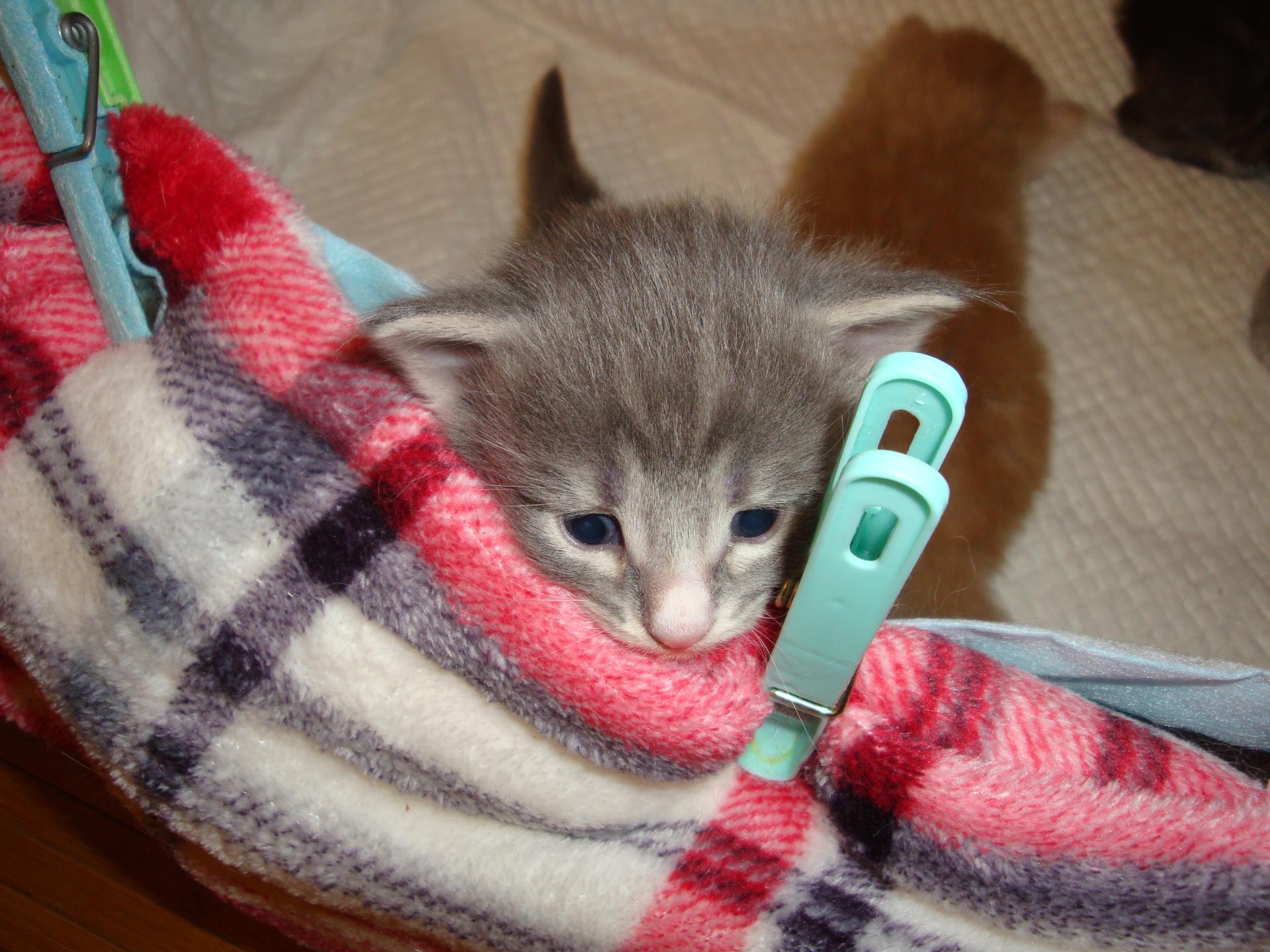 Aïe, je suis épinglée!