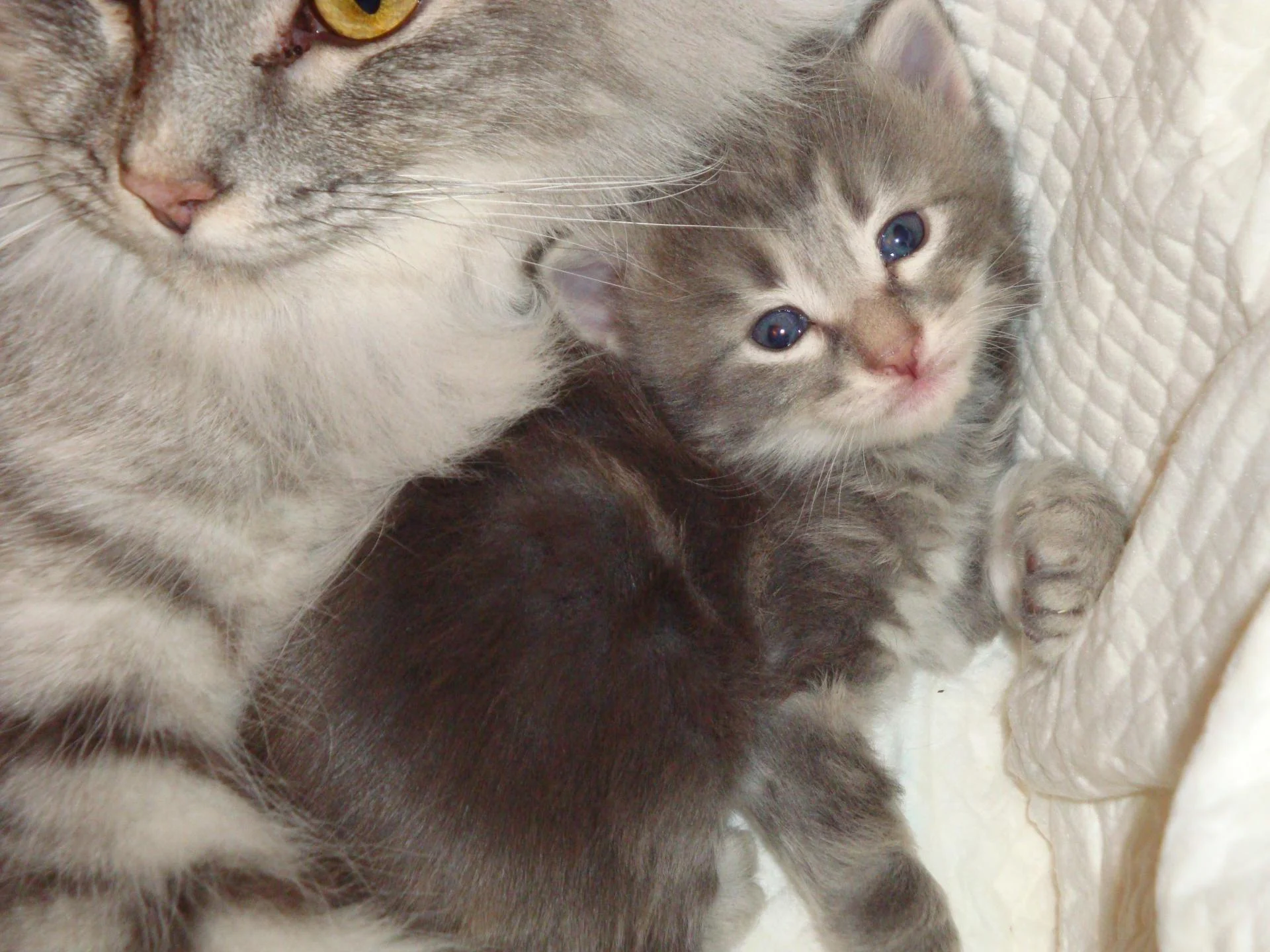 Trop chou (bb n° 2)!!