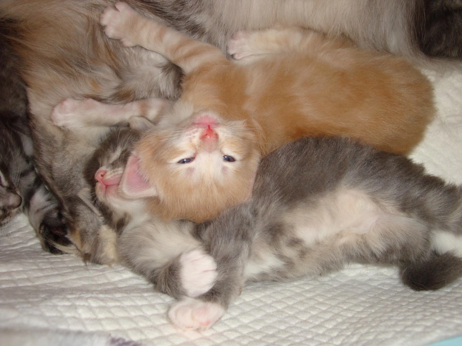 Mon confort, d'abord!