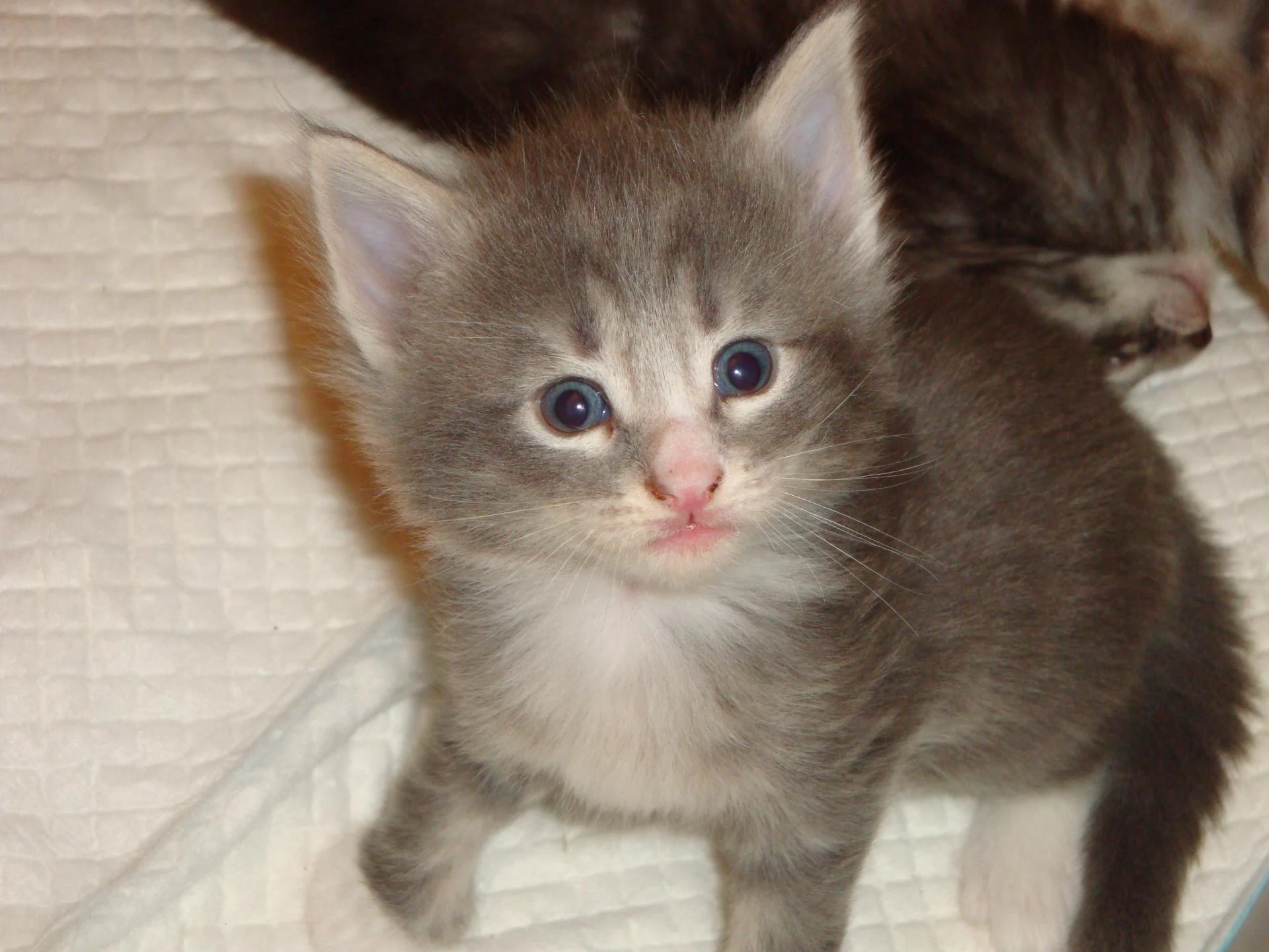 Youyou, c'est moi LA fille!