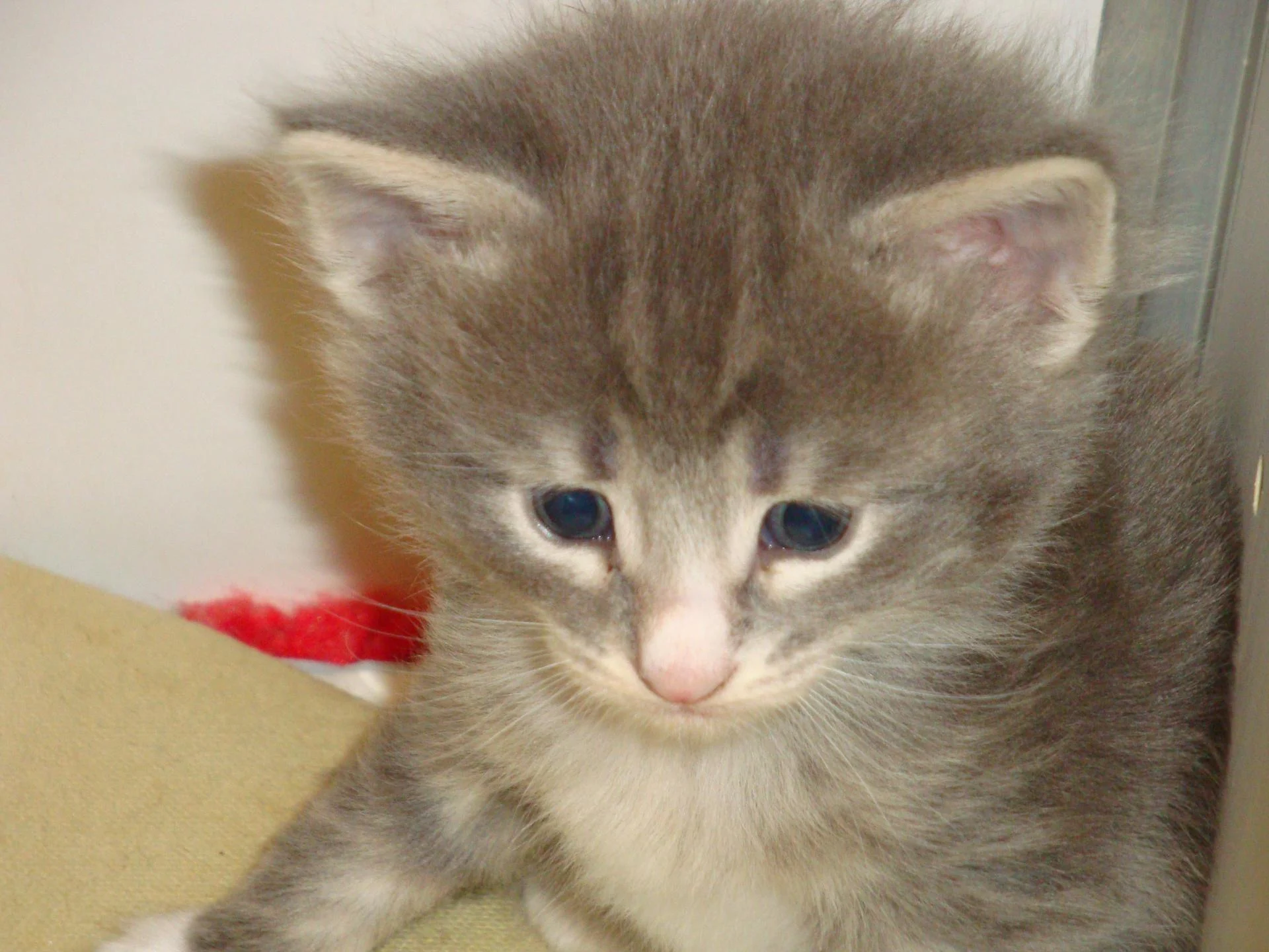 Encore moi...Je suis si mignonne!