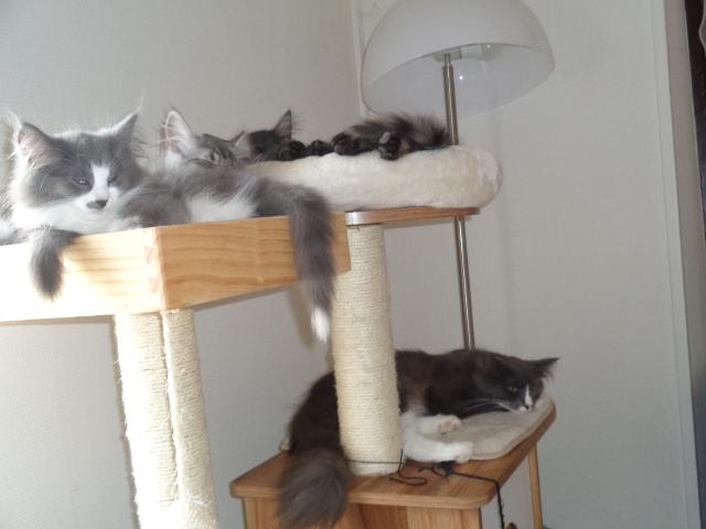 Intimité familiale...