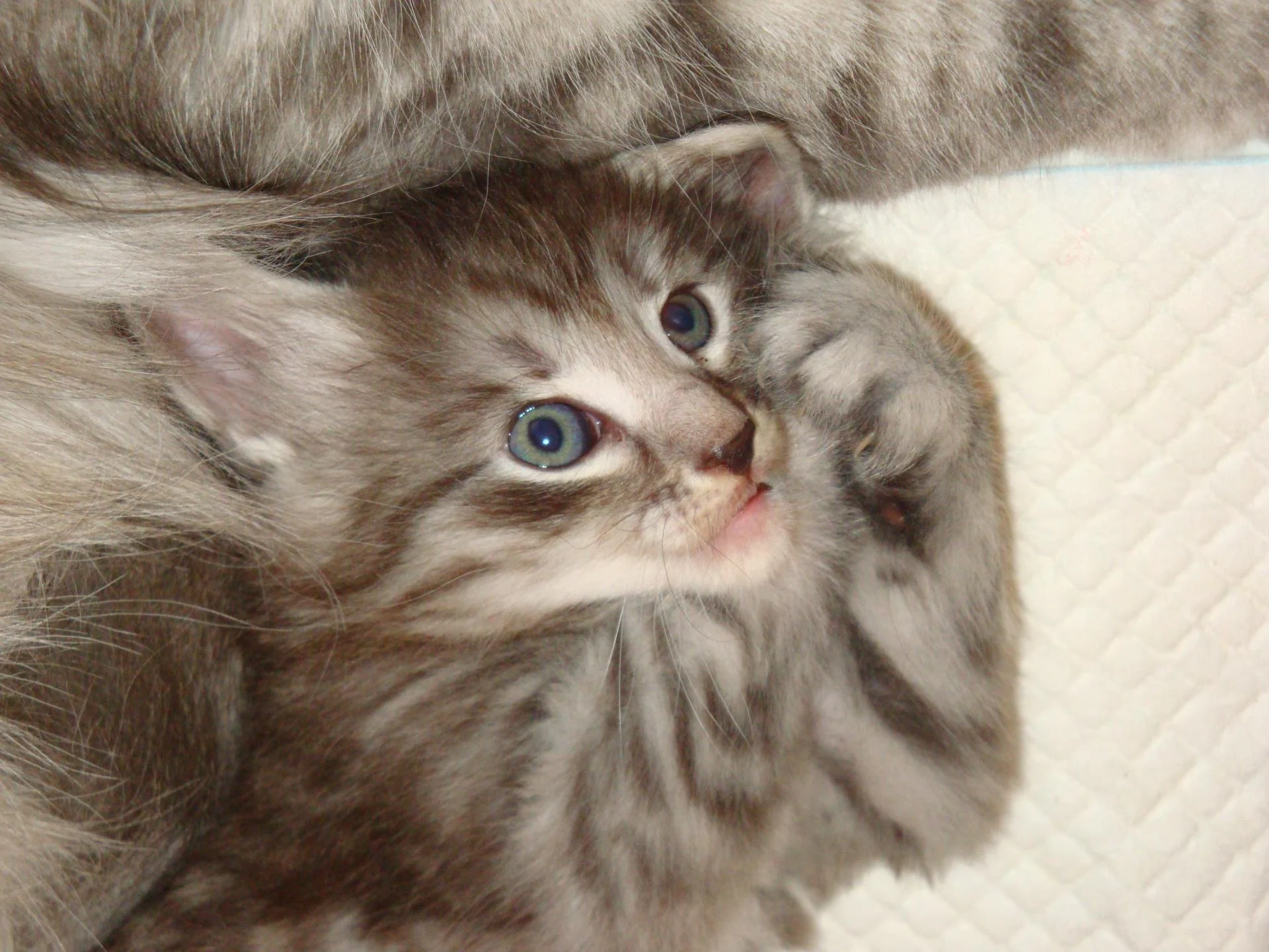 Allo! C'est B... au bout du fil!