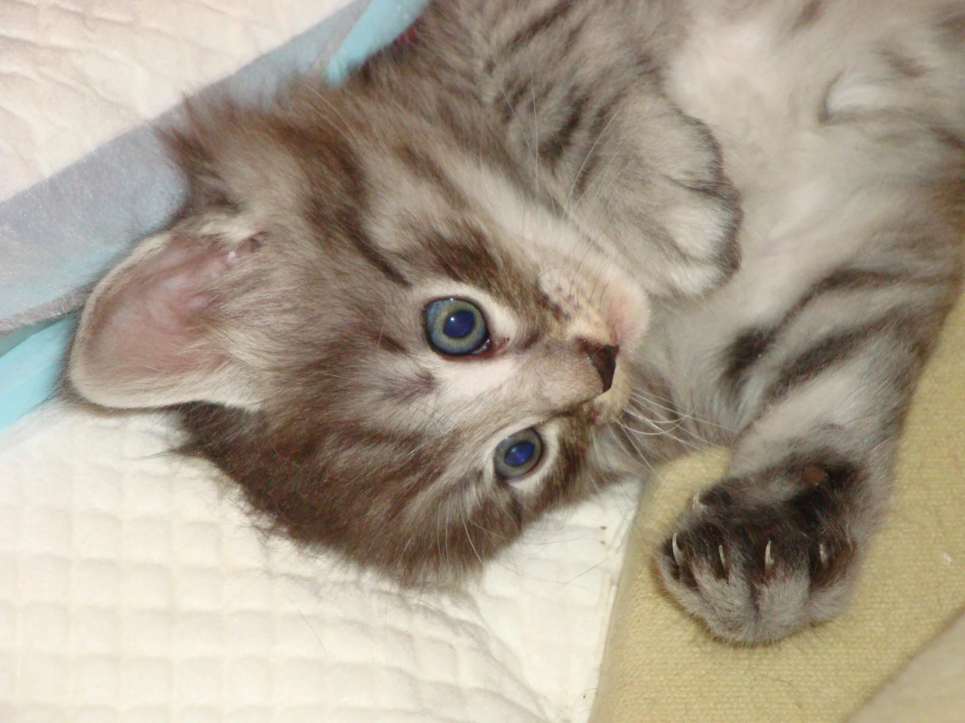 Prêt pour un câlin?