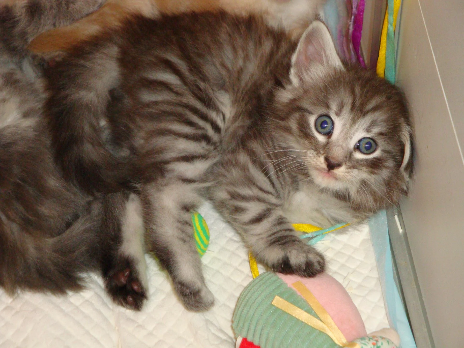 Woui? On me demande?