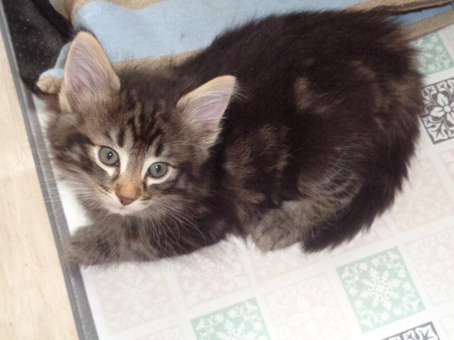 Trop craquant!