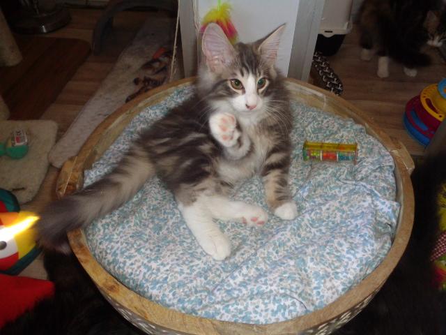 Hello vous! Et alors, je vous plais?