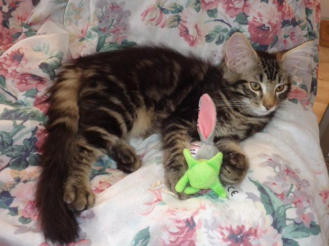 Avec mon lapin!