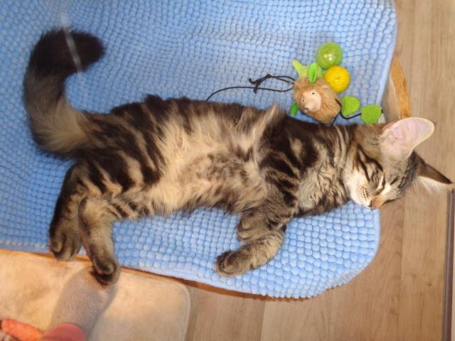Repos absolu!