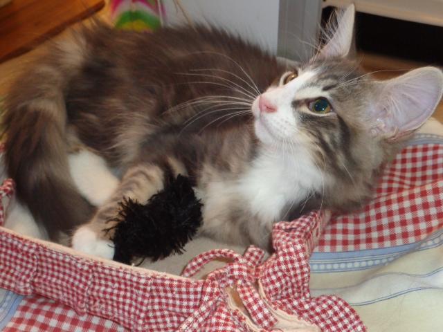 Beau gosse!