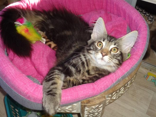 Trop craquant!